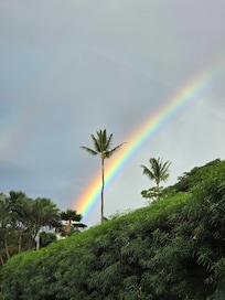 Rainbow from the parking lot!