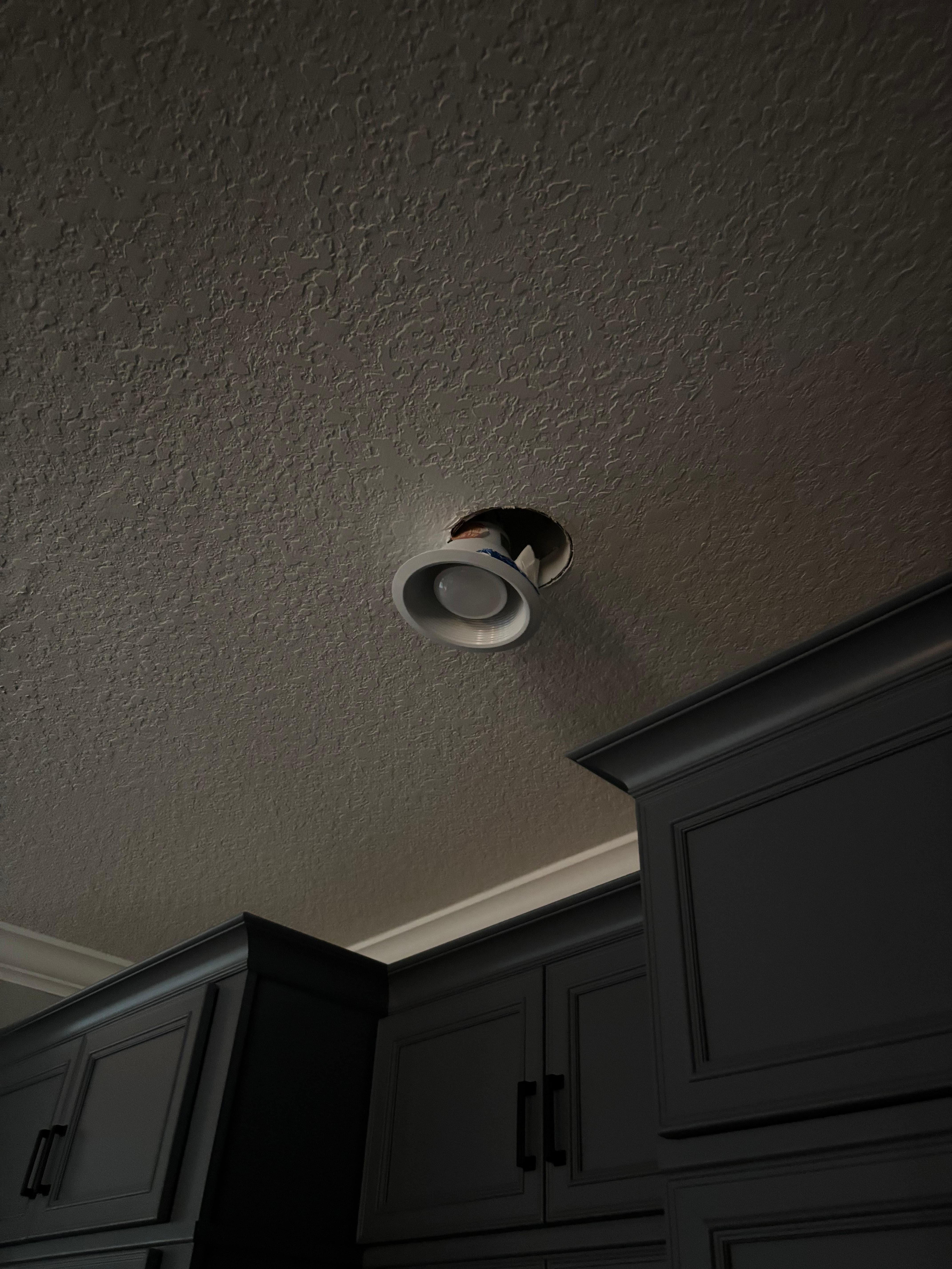 Ceiling fixture