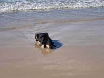 Beach run at Washerwomens