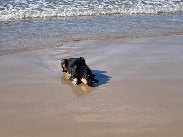 Beach run at Washerwomens