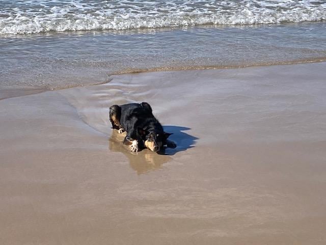 Beach run at Washerwomens