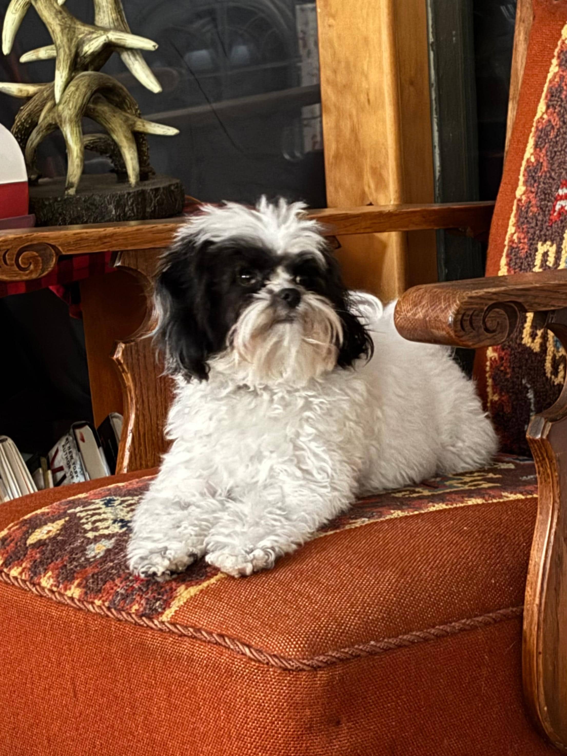 Piper was welcome to come and cleaned her chair quickly!