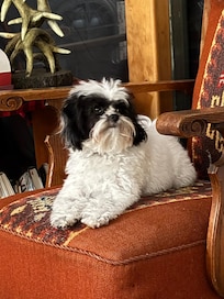 Piper was welcome to come and cleaned her chair quickly!