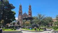 Cathedral View