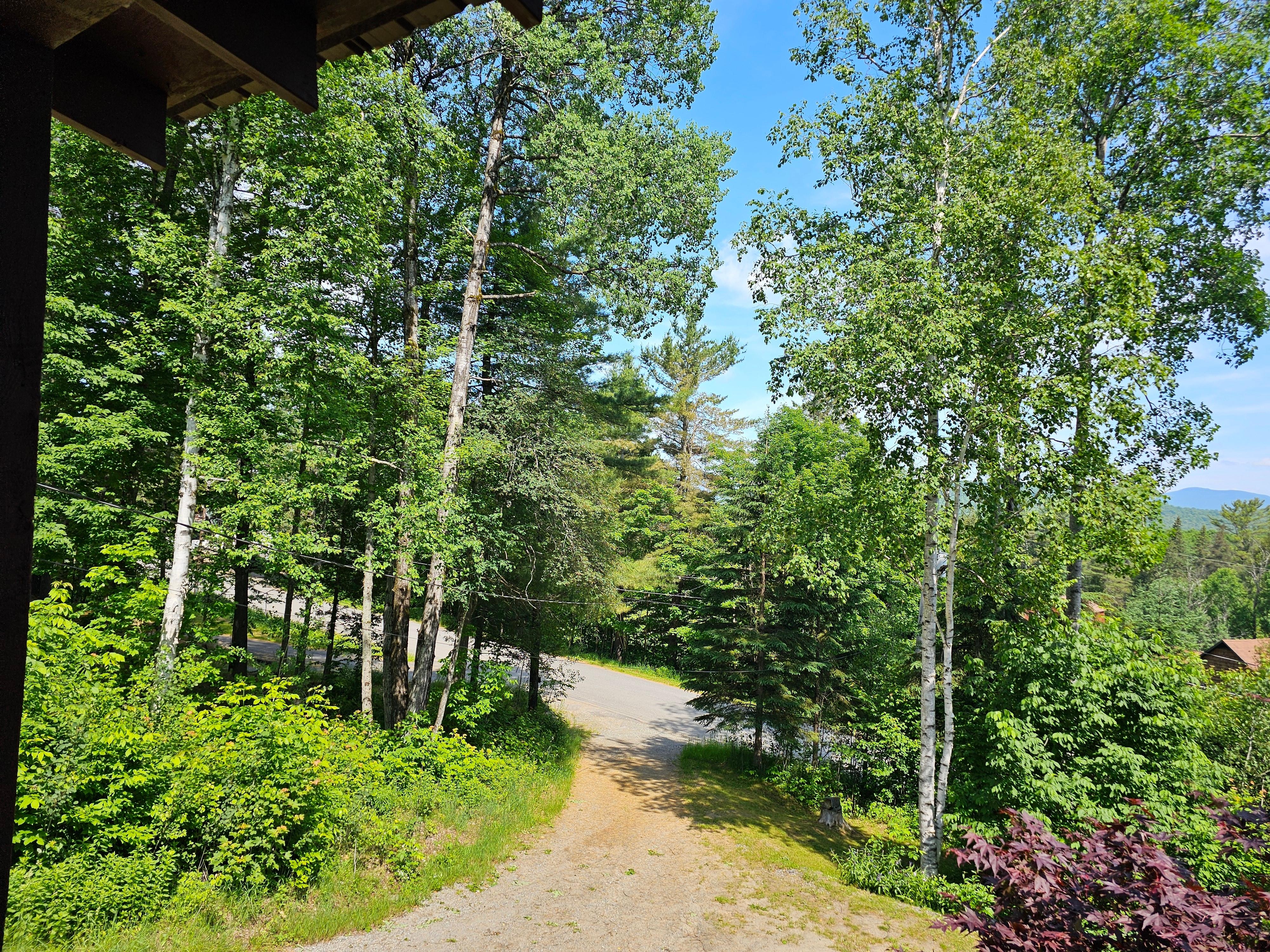 Nestled in the woods.