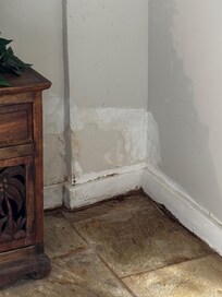 Water damage and mold