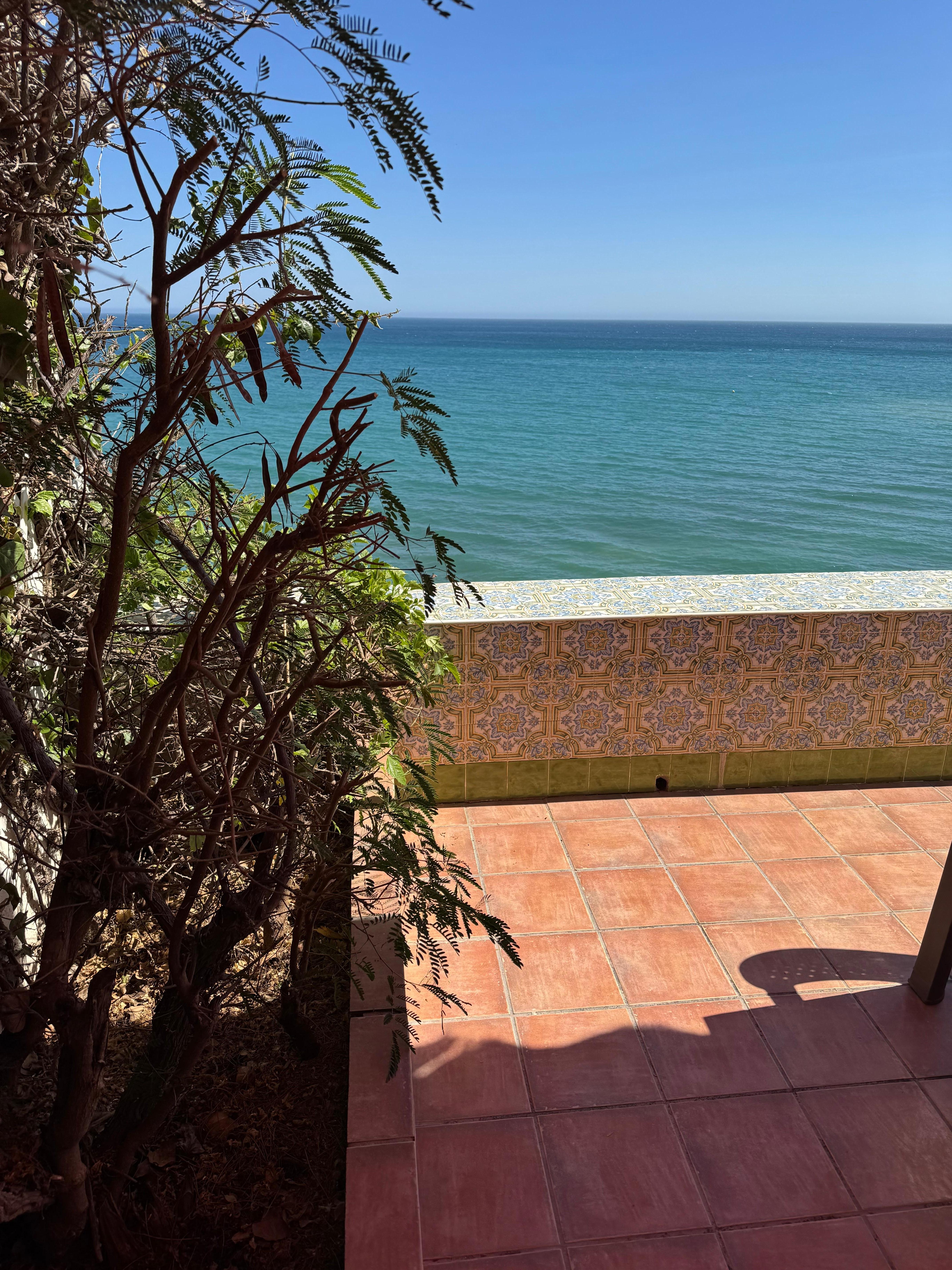 Blick von der Terrasse 