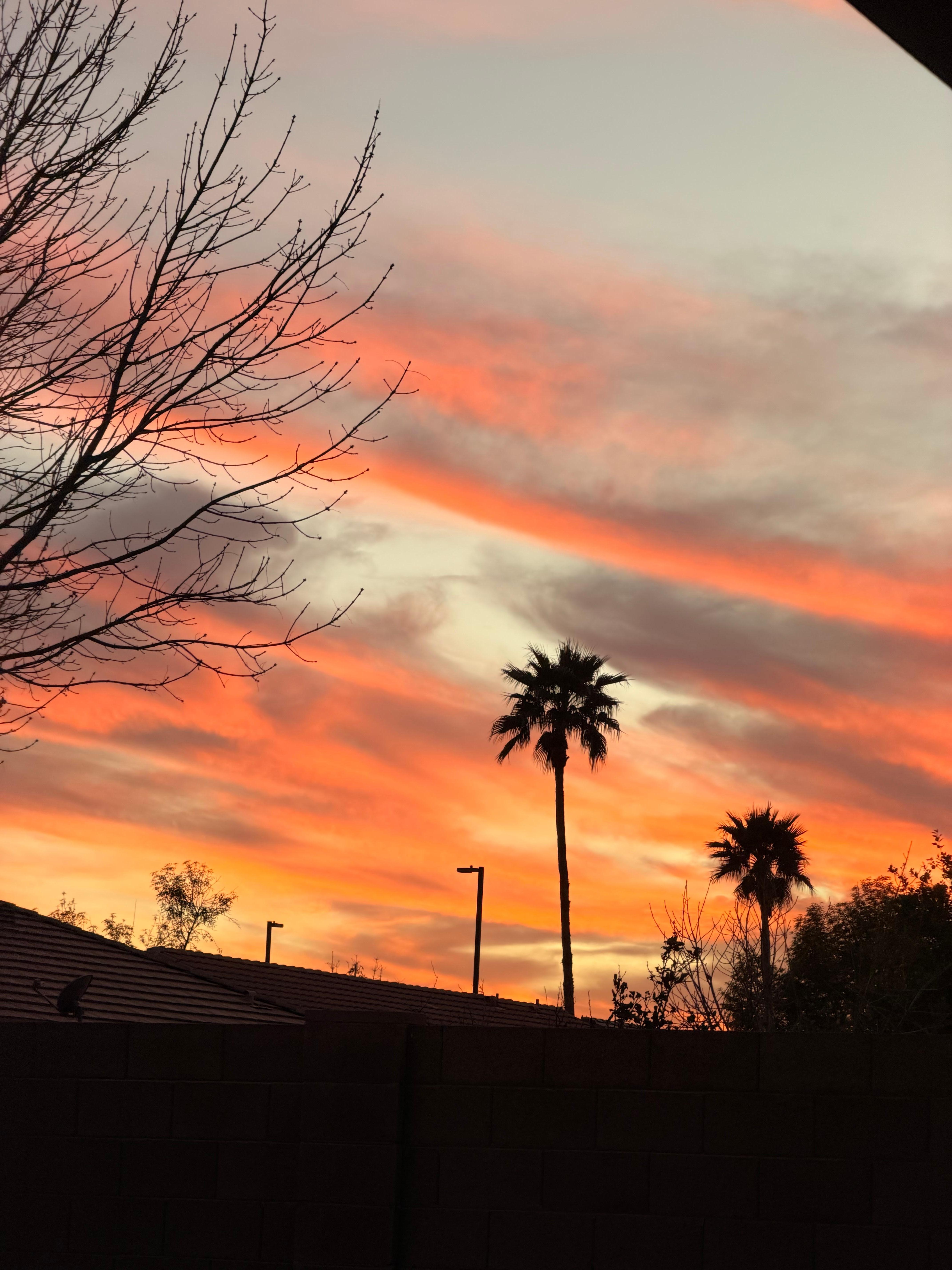 Beautiful sunrise view from the back porch 