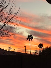 Beautiful sunrise view from the back porch