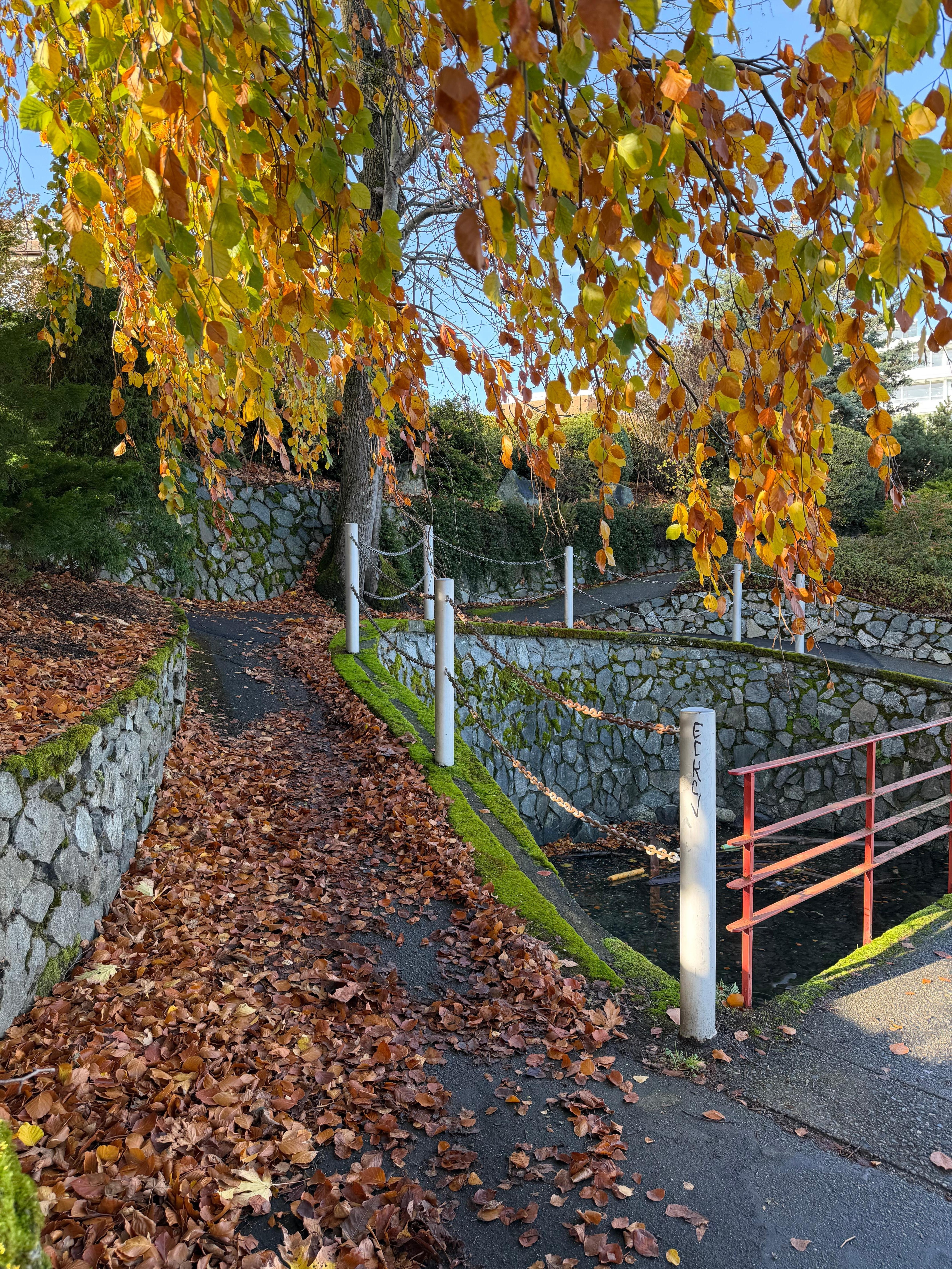 Pathway along shoreline around bay was pretty 
