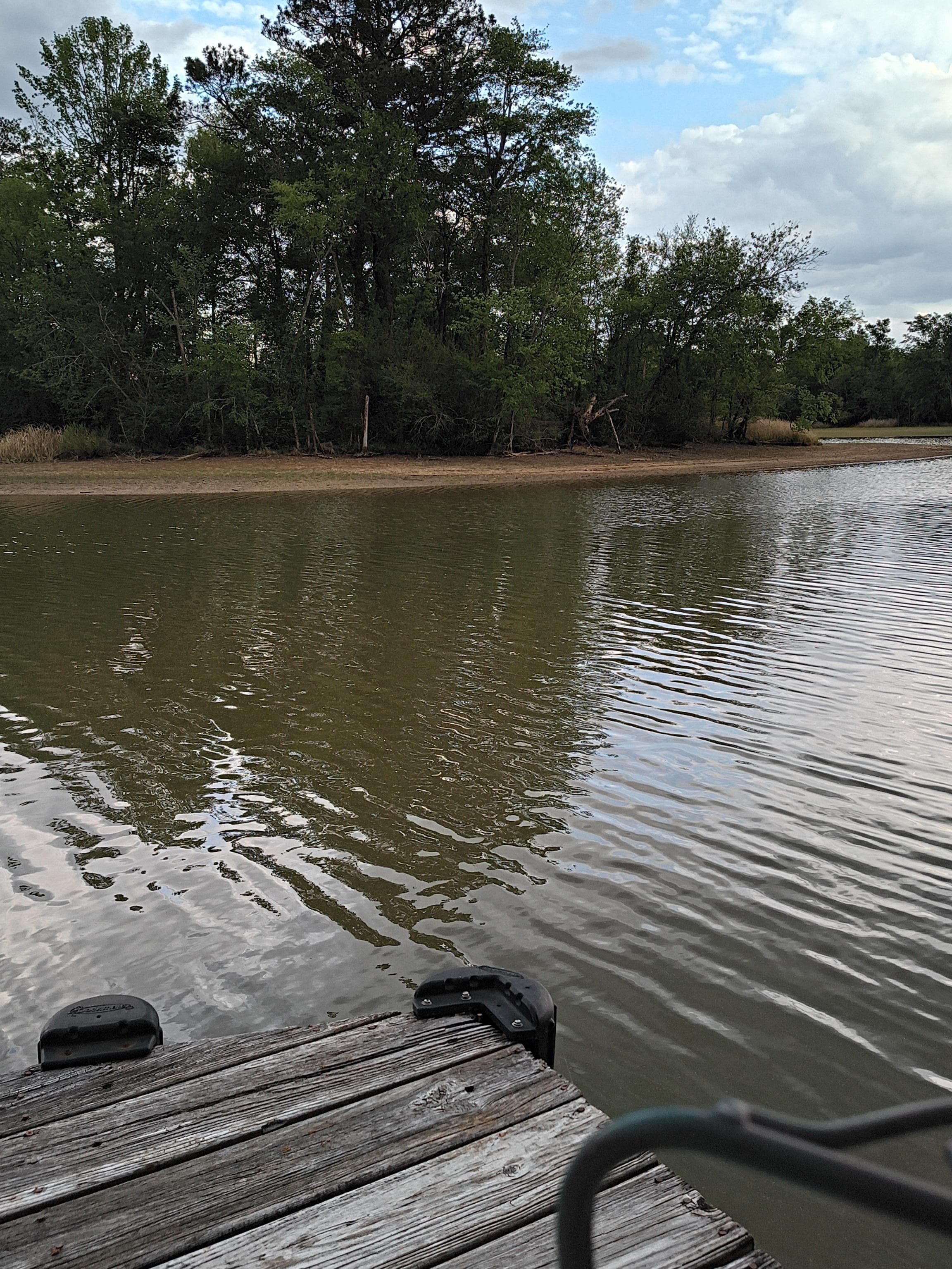 This is where we sat on the dock. So peaceful. Turtles everywhere! 