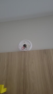 Smoke detector ripped out of wall