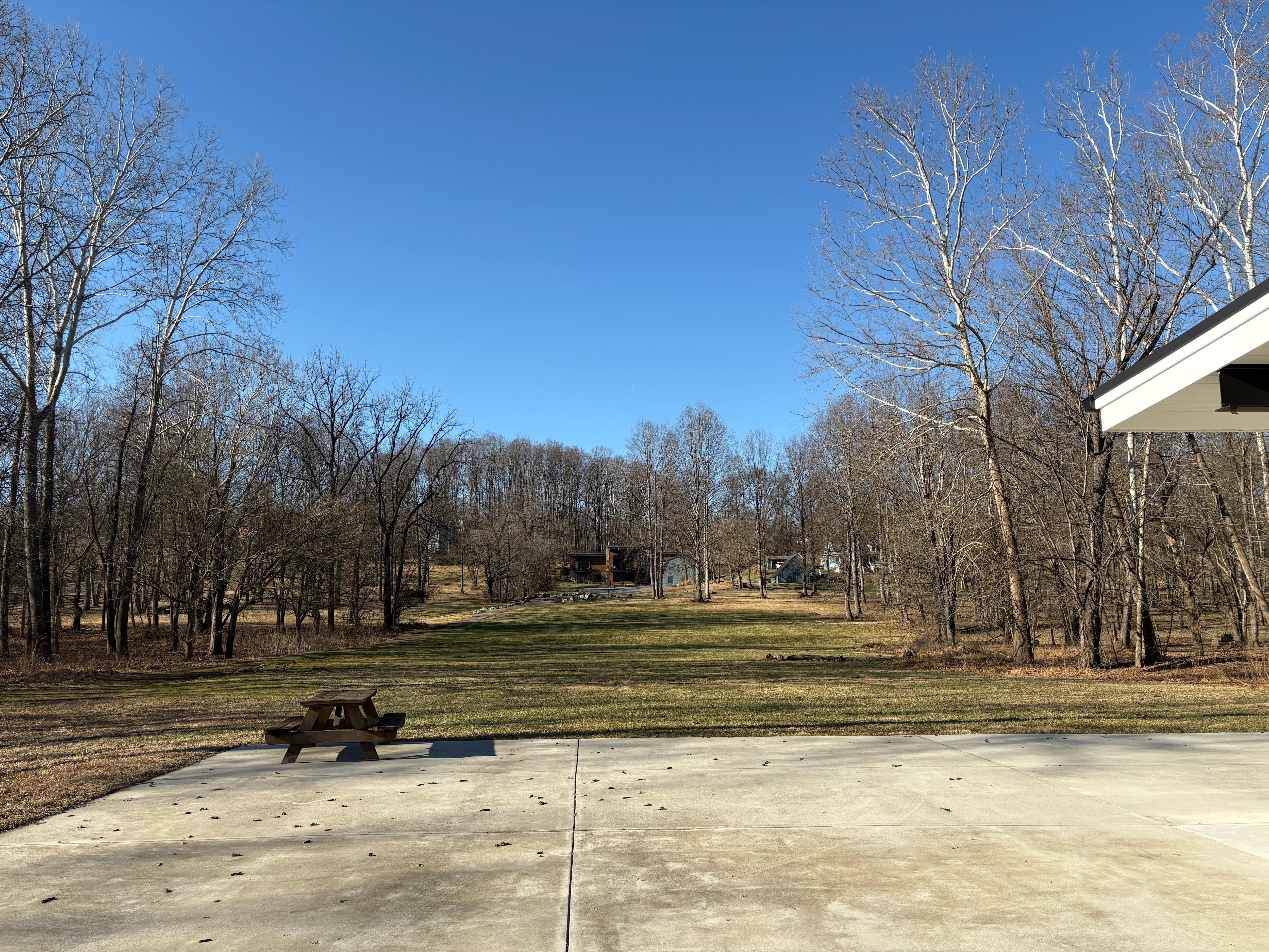 View from downstairs family room