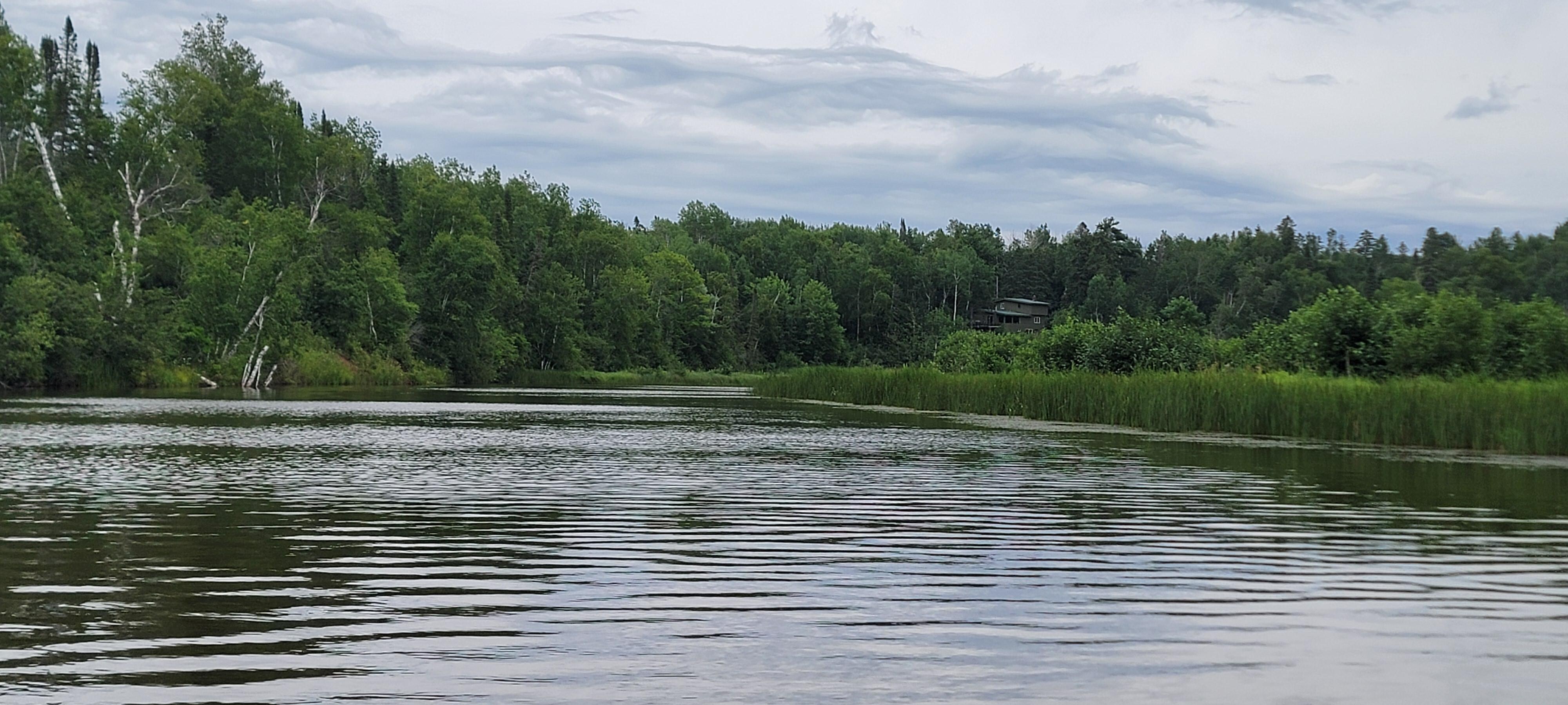 View from the beach up the river.