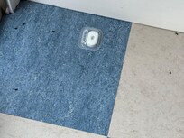Bugs all over kitchen floor