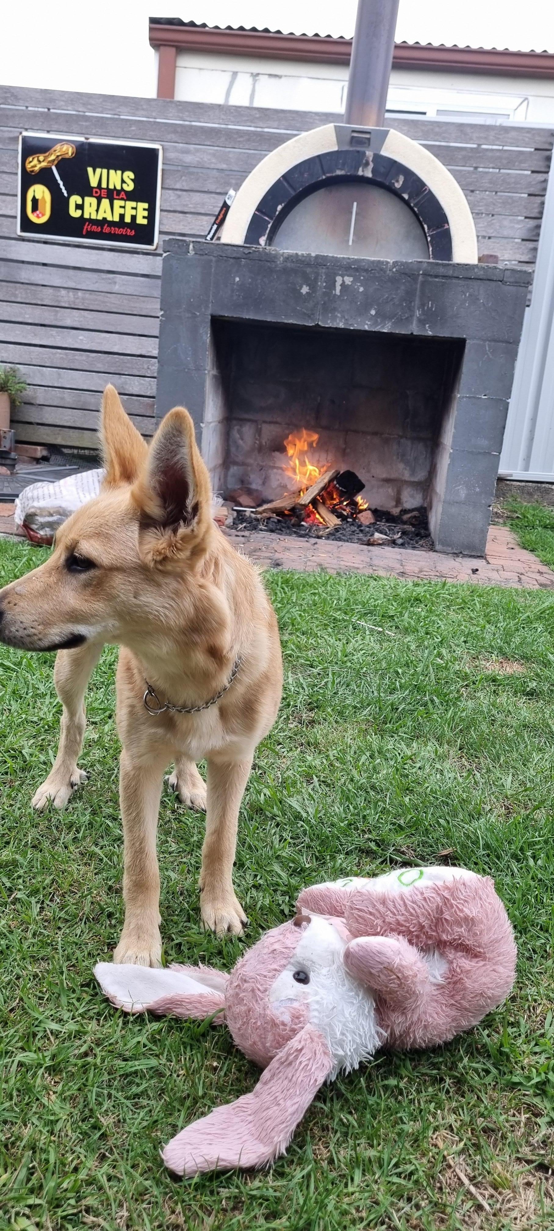 Cooking up some pizza in the pizza oven