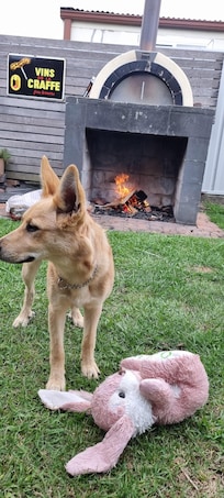 Cooking up some pizza in the pizza oven