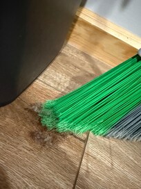 The broom was out in the entry upon arrival with dust bunnies