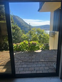 View from treadmill