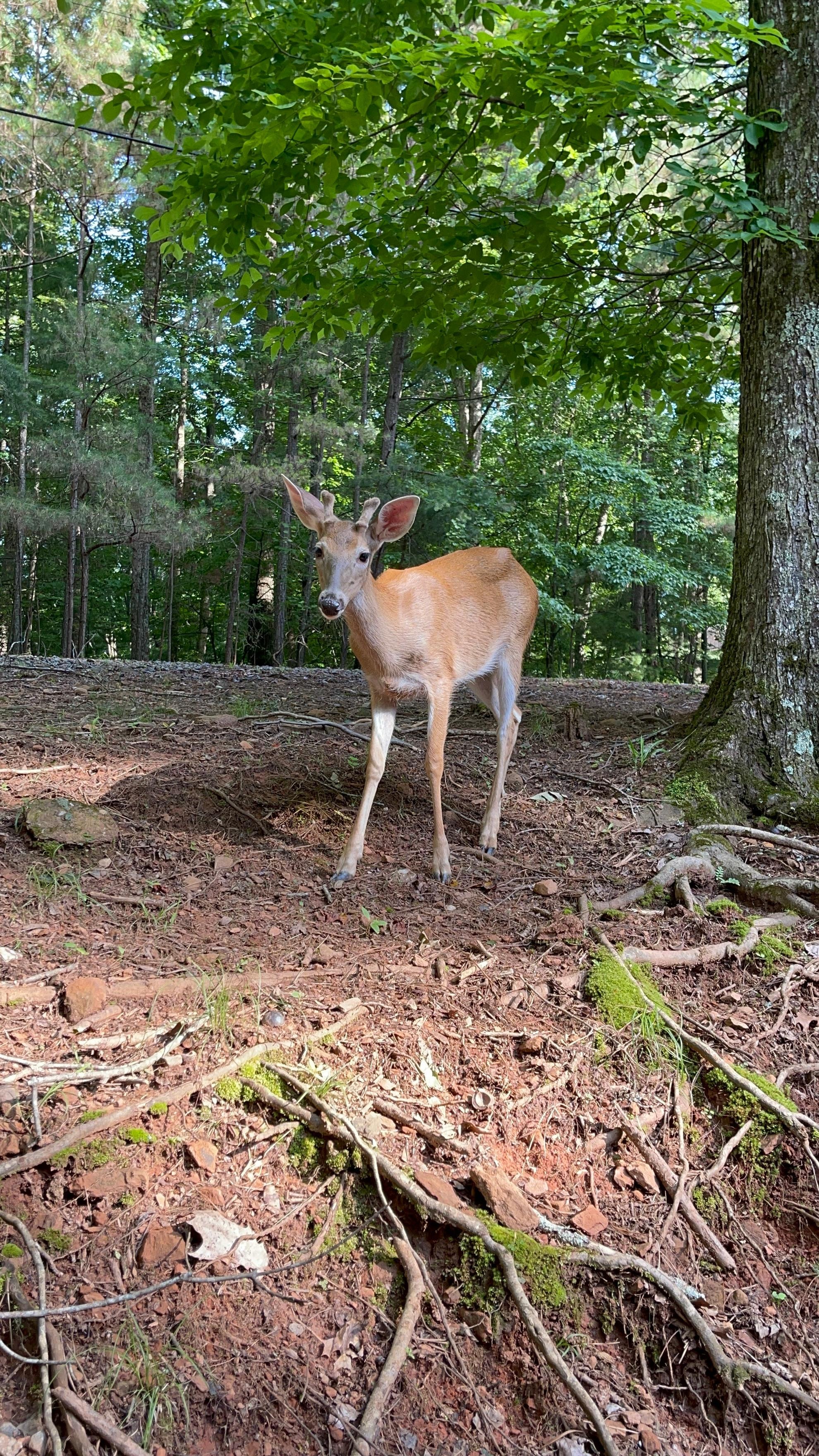 This sweet baby boy melts your heart
