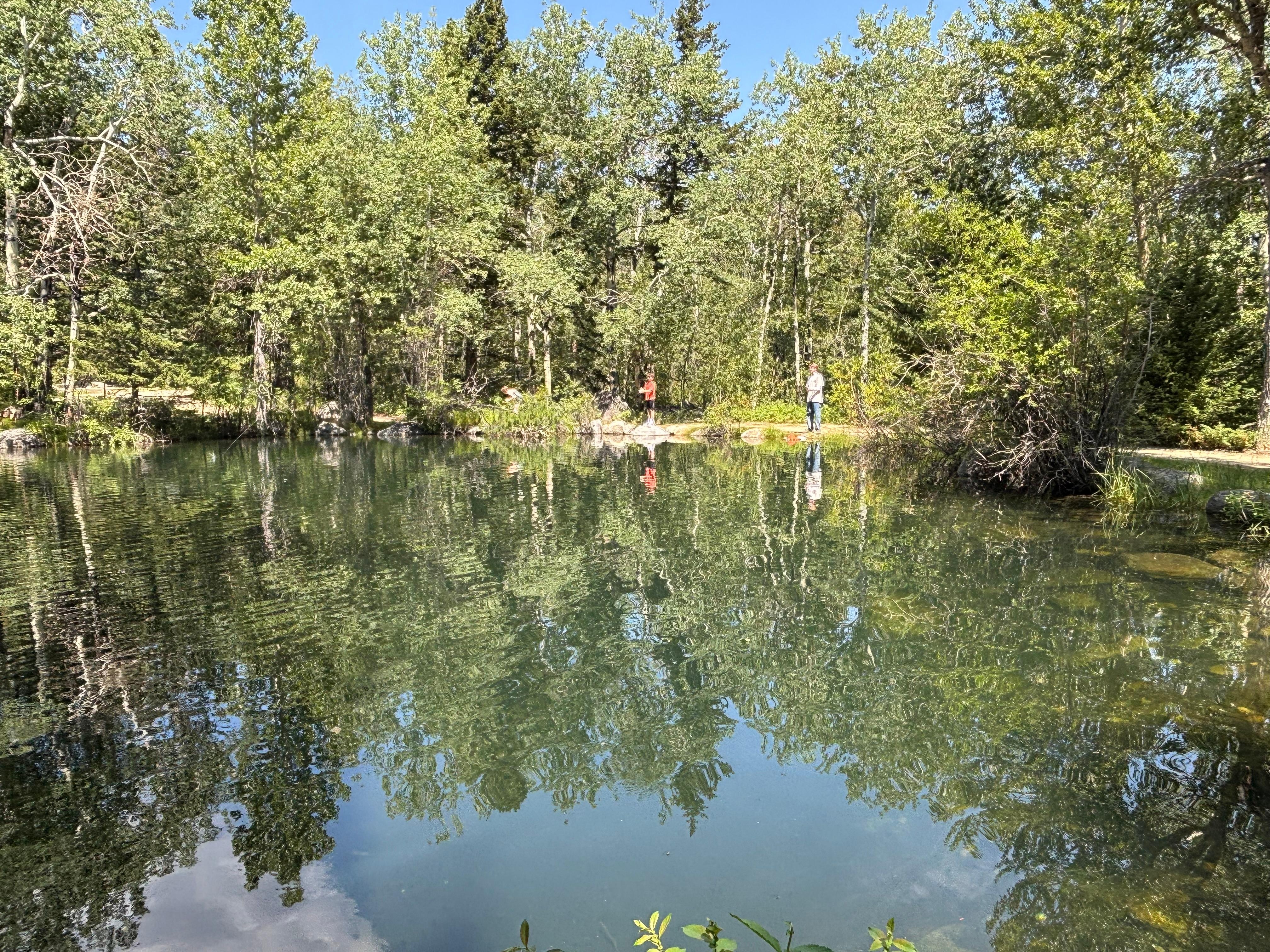 The kids and adults alike enjoyed fishing. The owner said none of us, in state or out of state needed a fishing or conservation license because he owned the ponds. And he stocked them. There are fishing poles and a tackle box there too. 