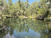 The kids and adults alike enjoyed fishing. The owner said none of us, in state or out of state needed a fishing or conservation license because he owned the ponds. And he stocked them. There are fishing poles and a tackle box there too.