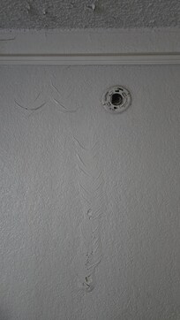 Smoke detector removed.