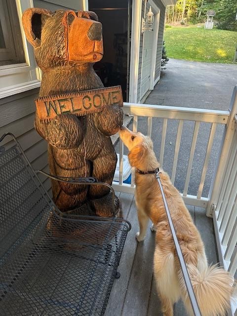 Violet meeting her new friend