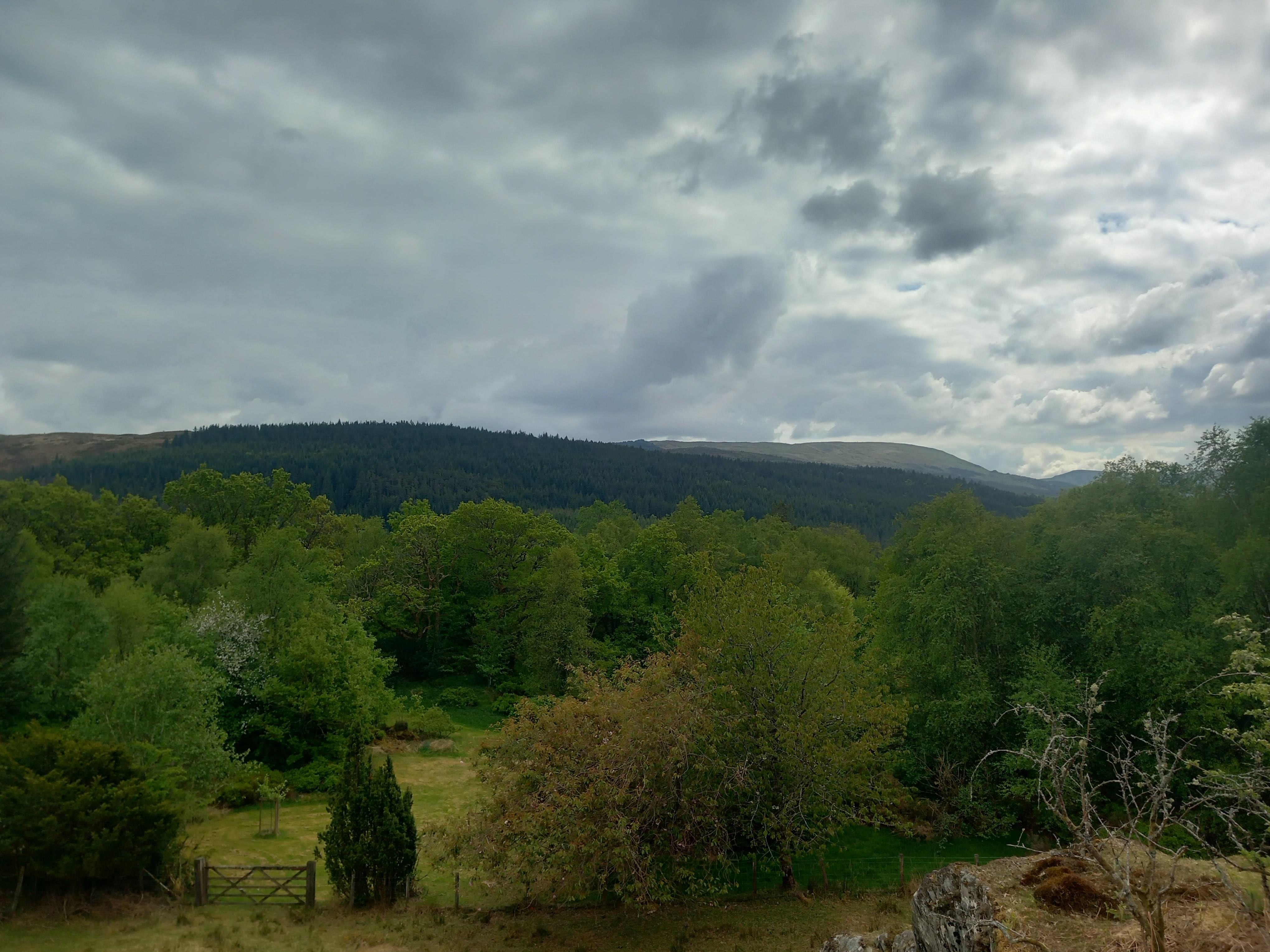 Lovely grounds to lose yourself in.