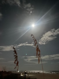 Spectacular Full Moon