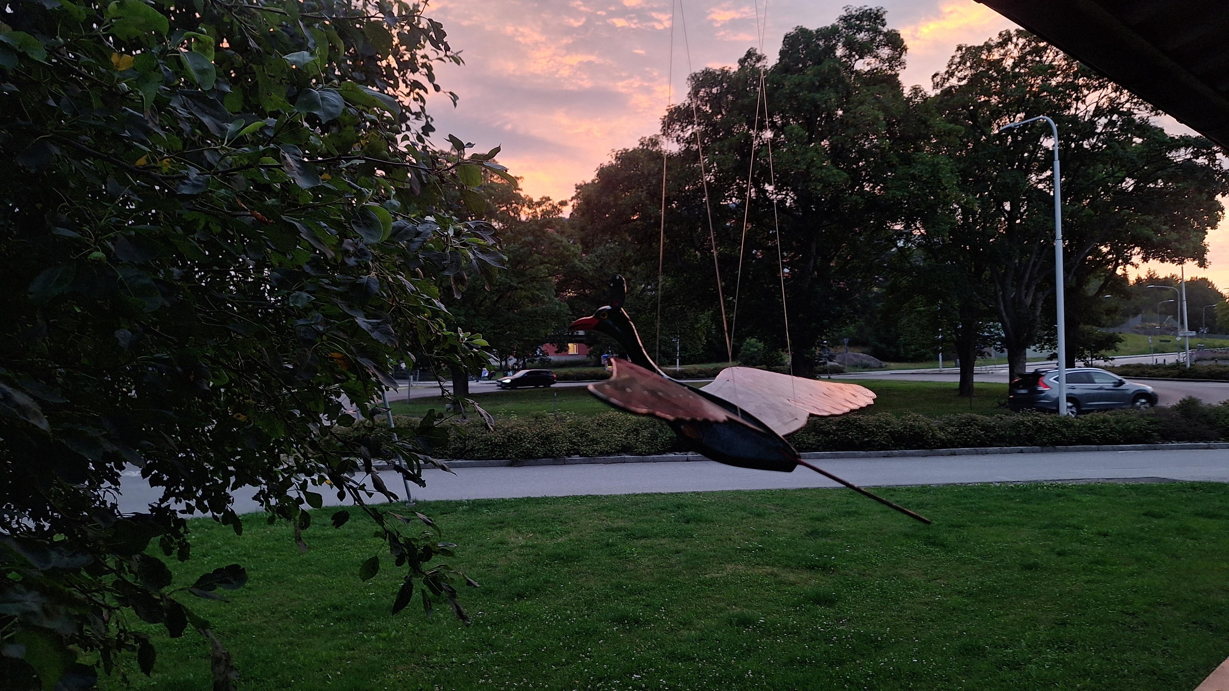 View from porch