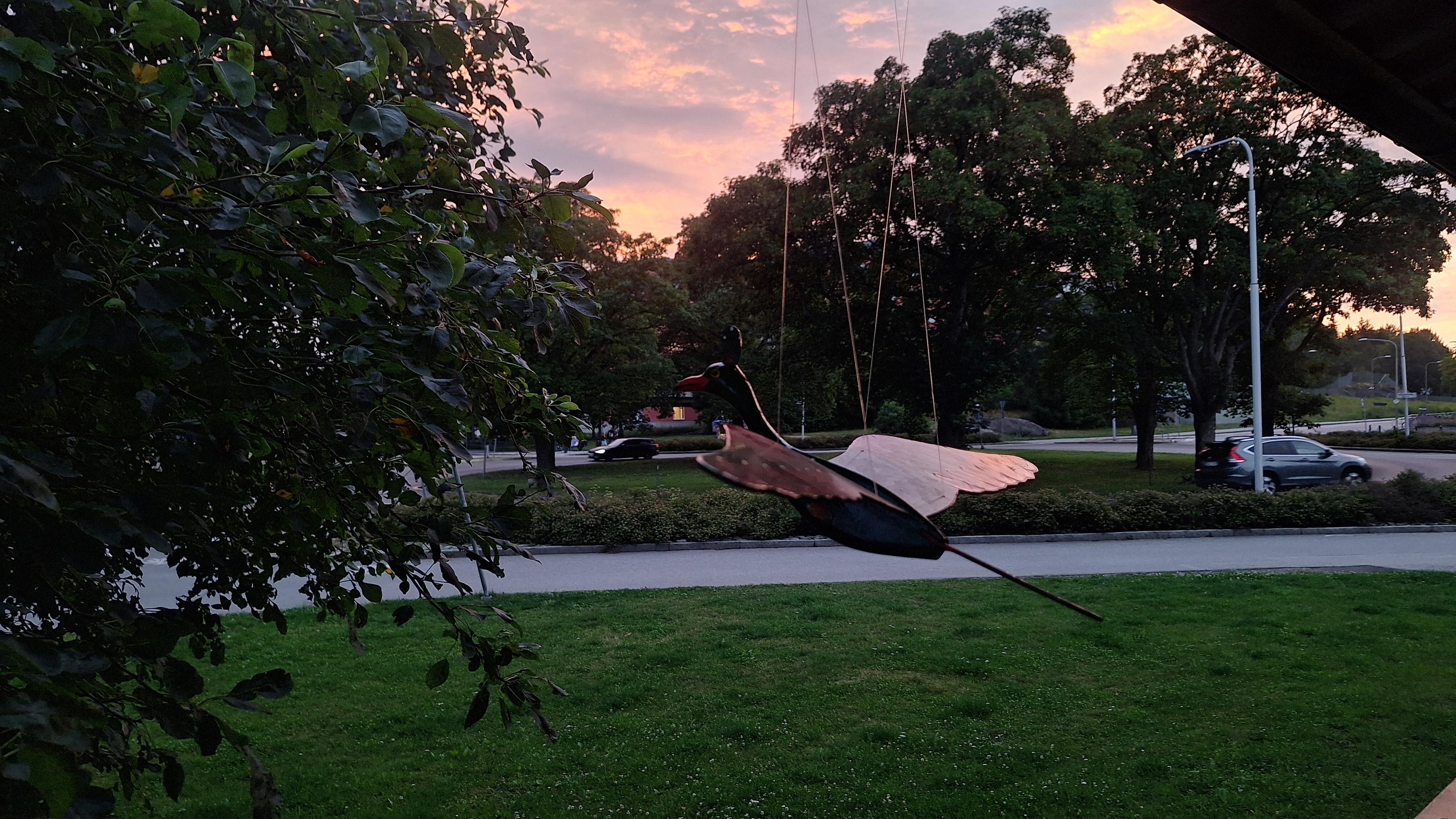 View from porch