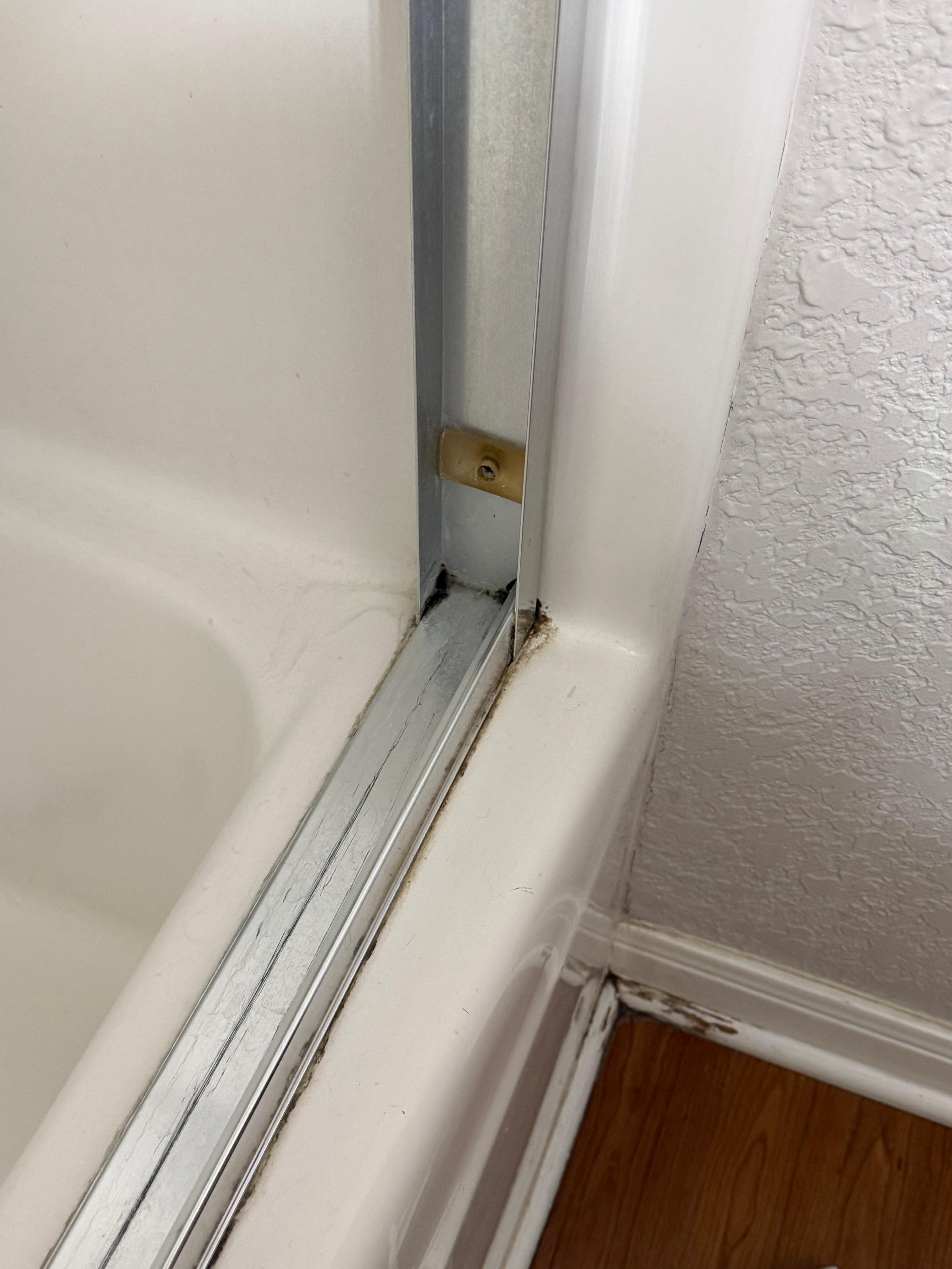 Mold in shower