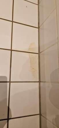 Sticky yellow pool on bathroom flor upon arrival