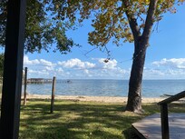 Just an afternoon in the back porch