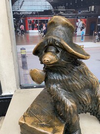 Paddington bear