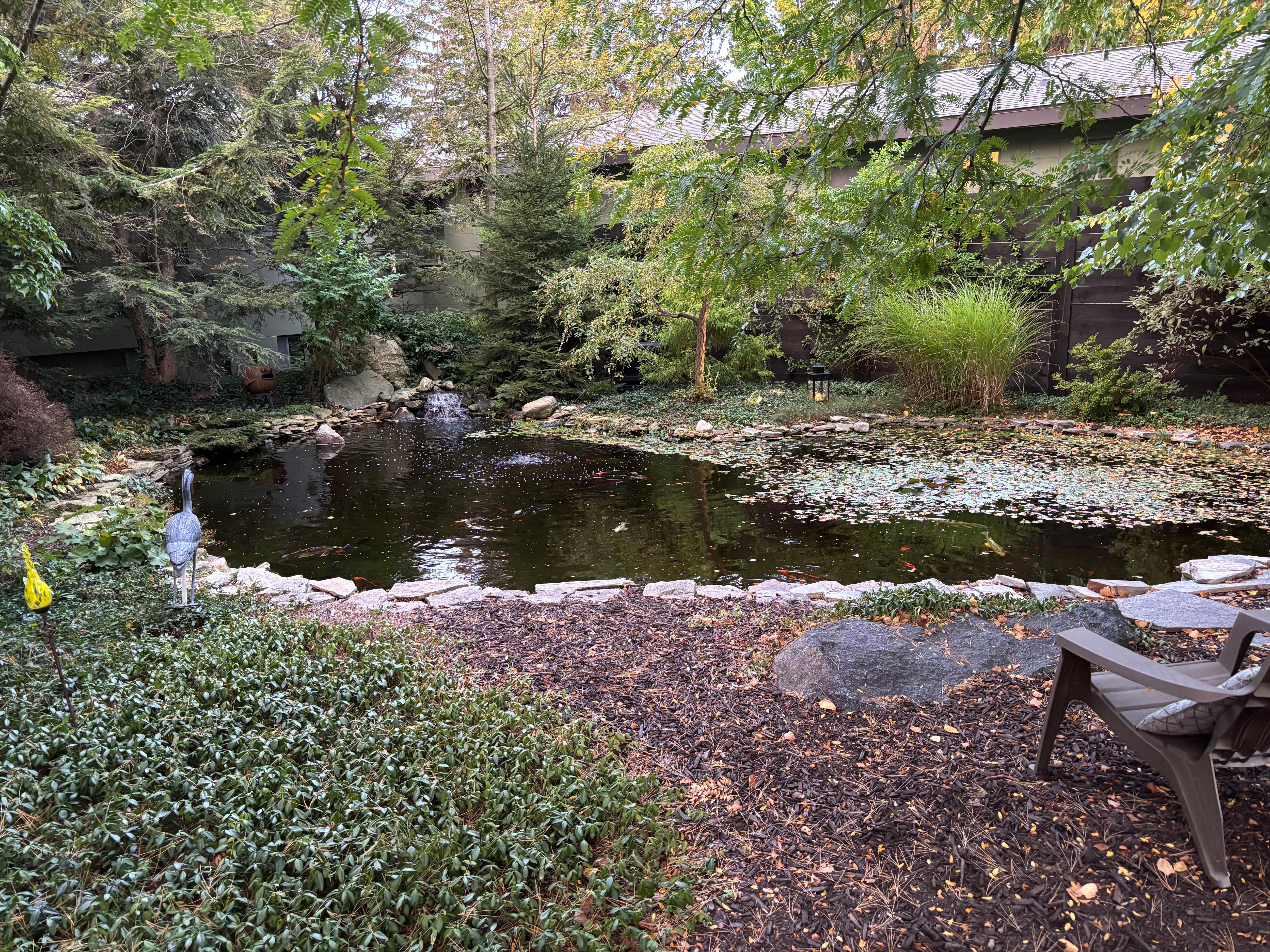Beautiful nature area behind the units.