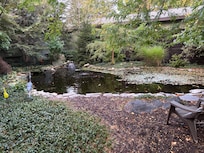 Beautiful nature area behind the units.