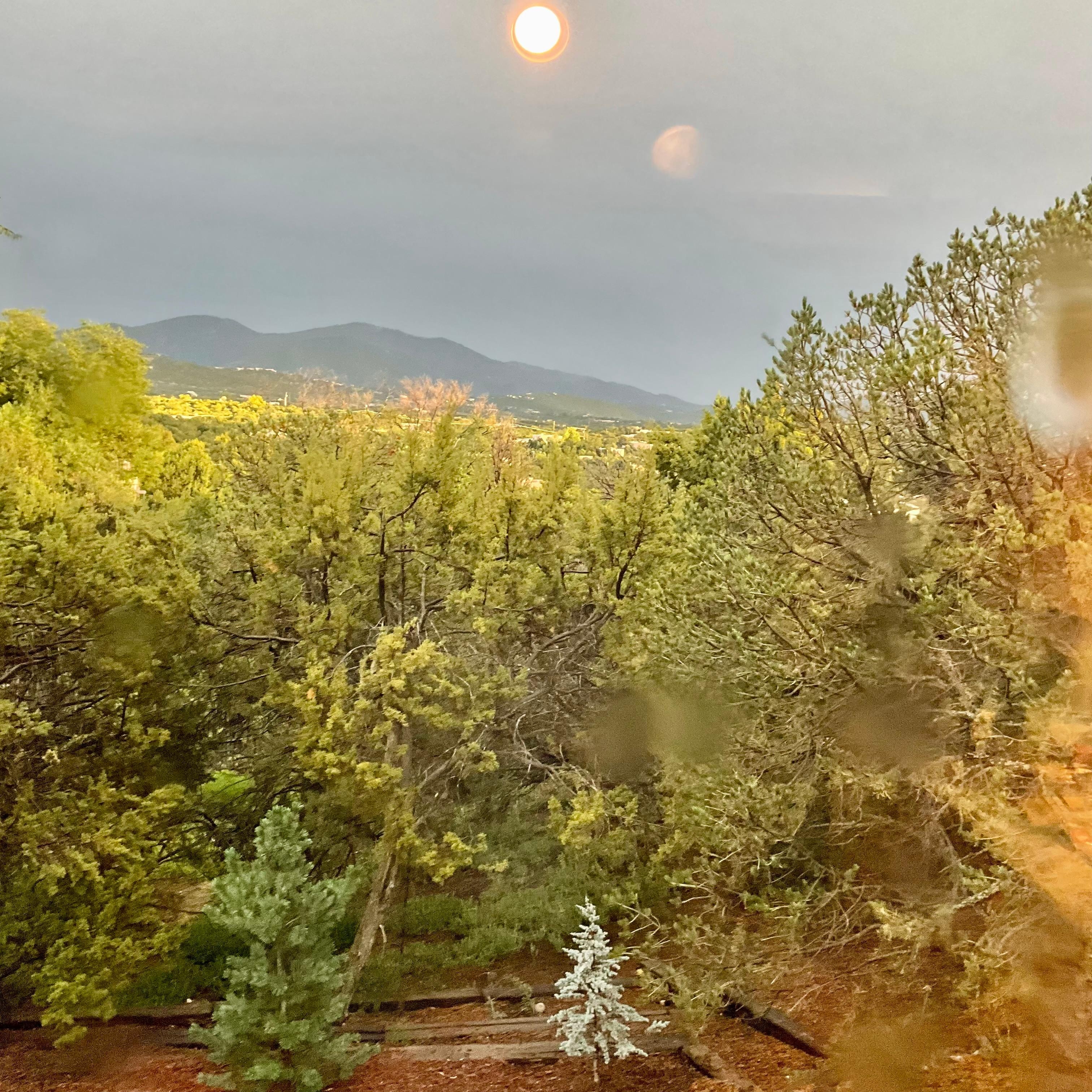 View from kitchen window 