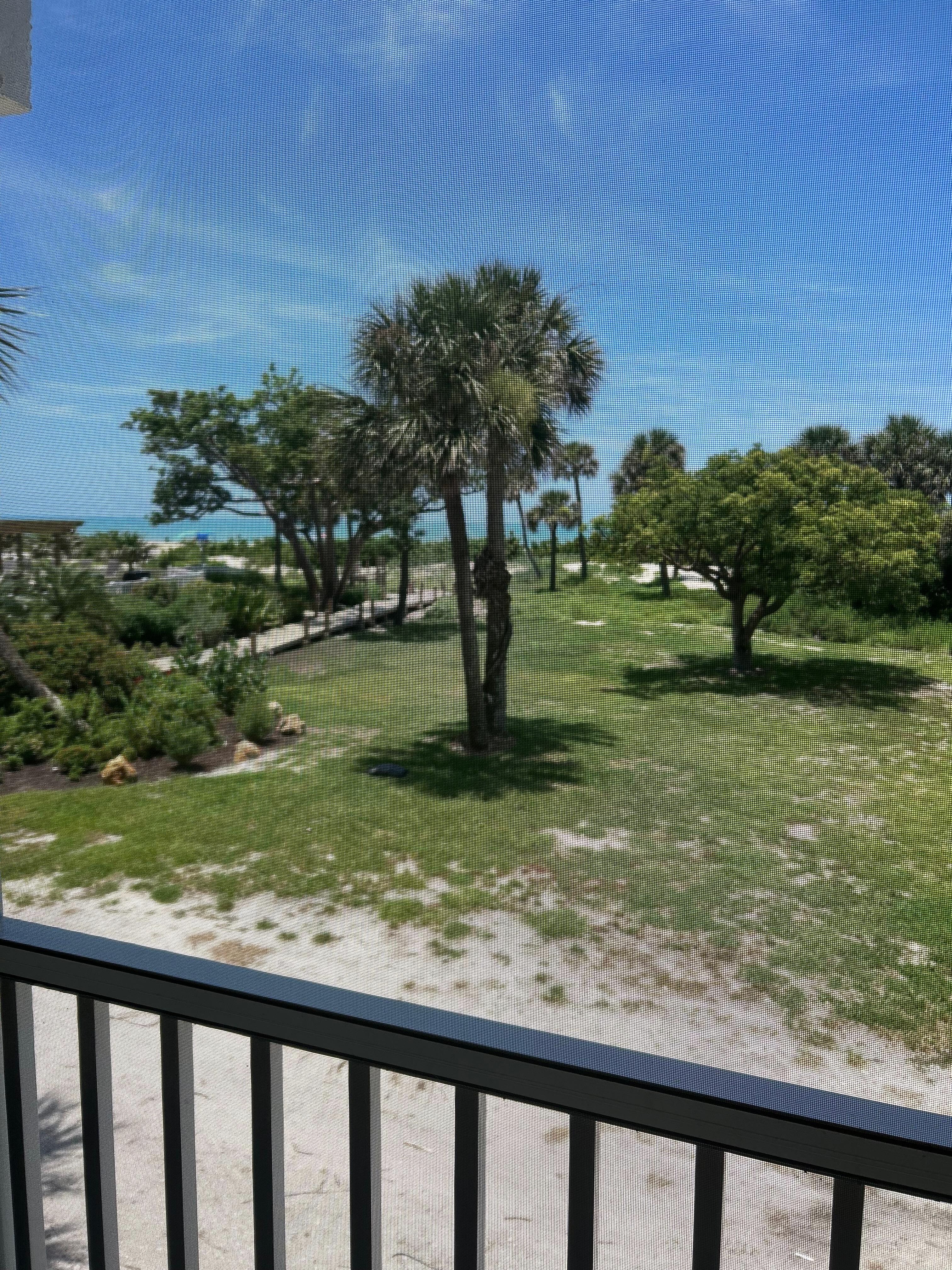 View from the unit!  