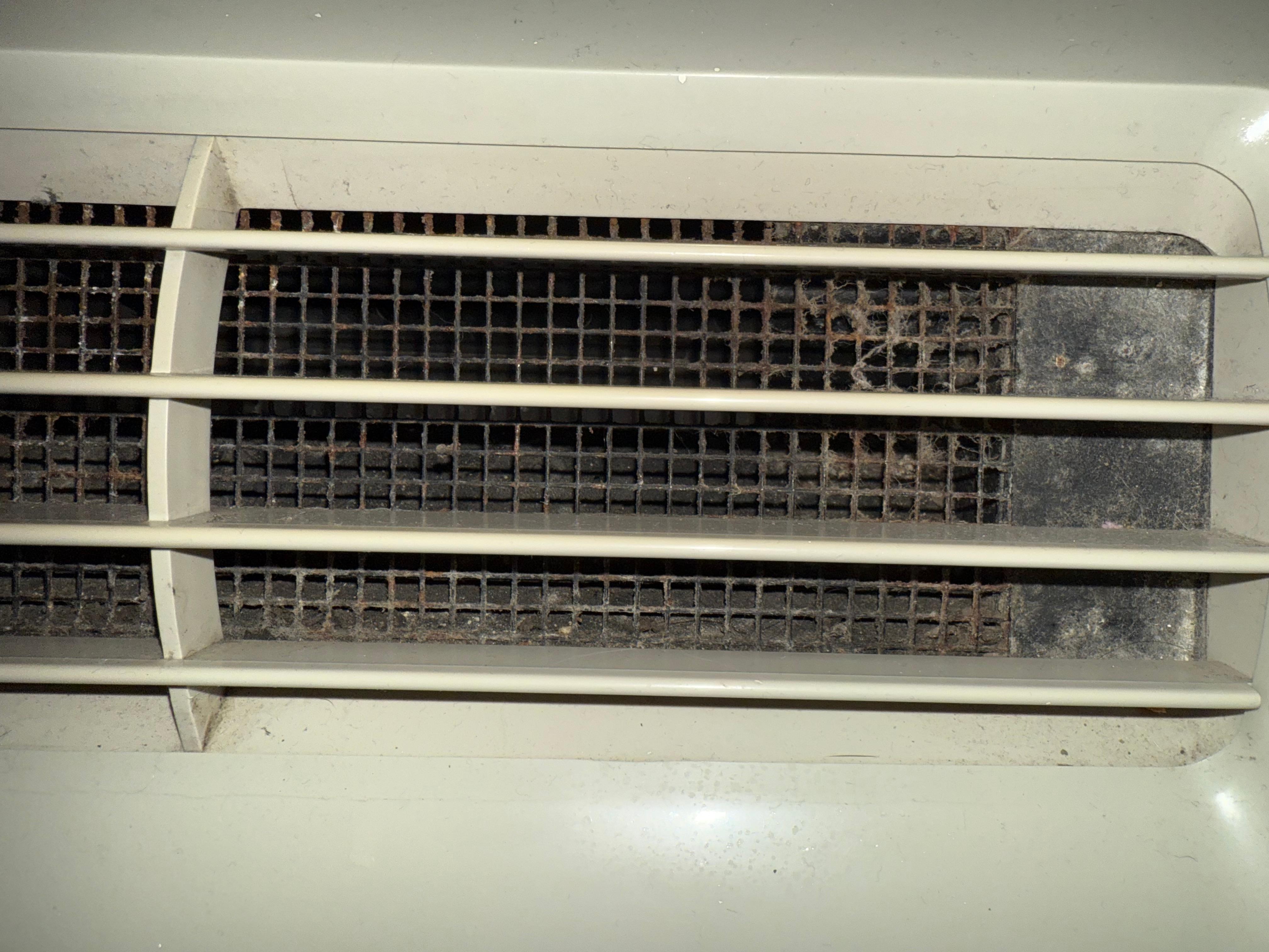 Dirty air/heater unit and filter. Smelled horrible when you turned it on.