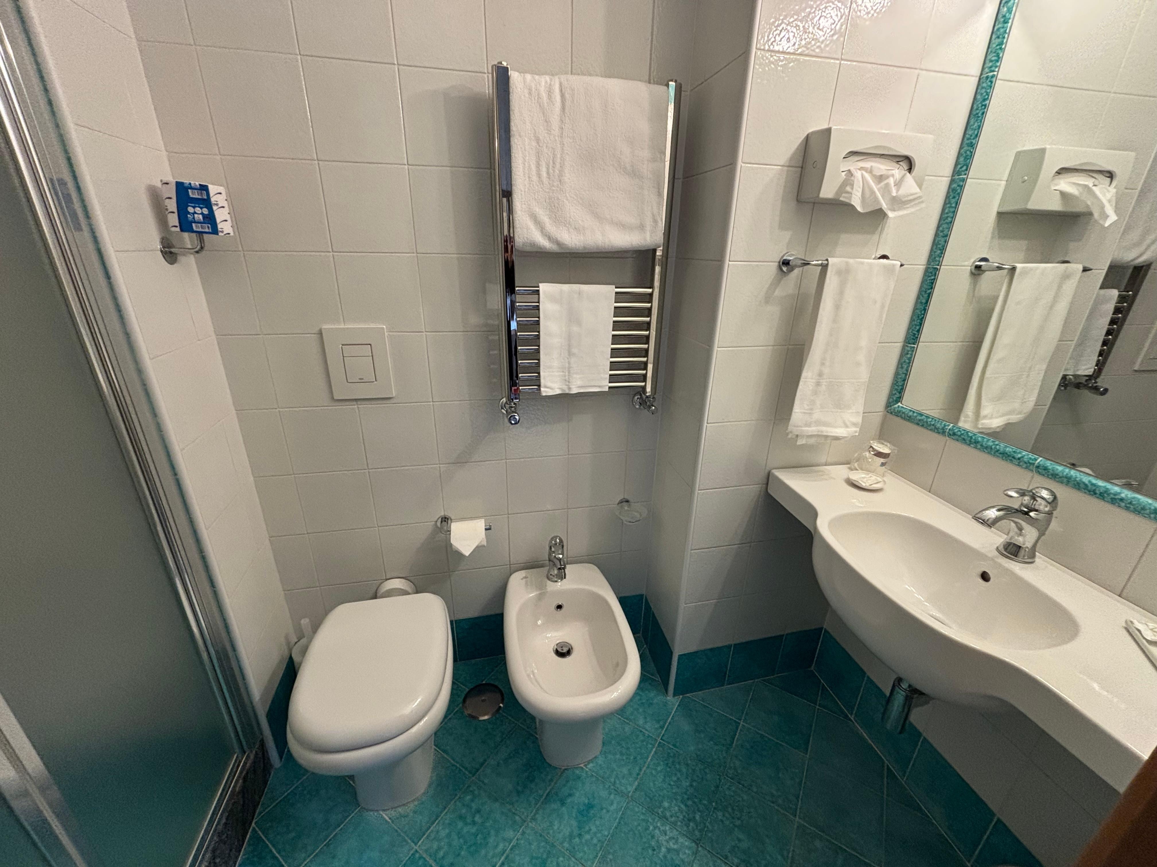 Bathroom was very clean. Came with bar soap, liquid shampoo and body soap combo, and a shower cap.