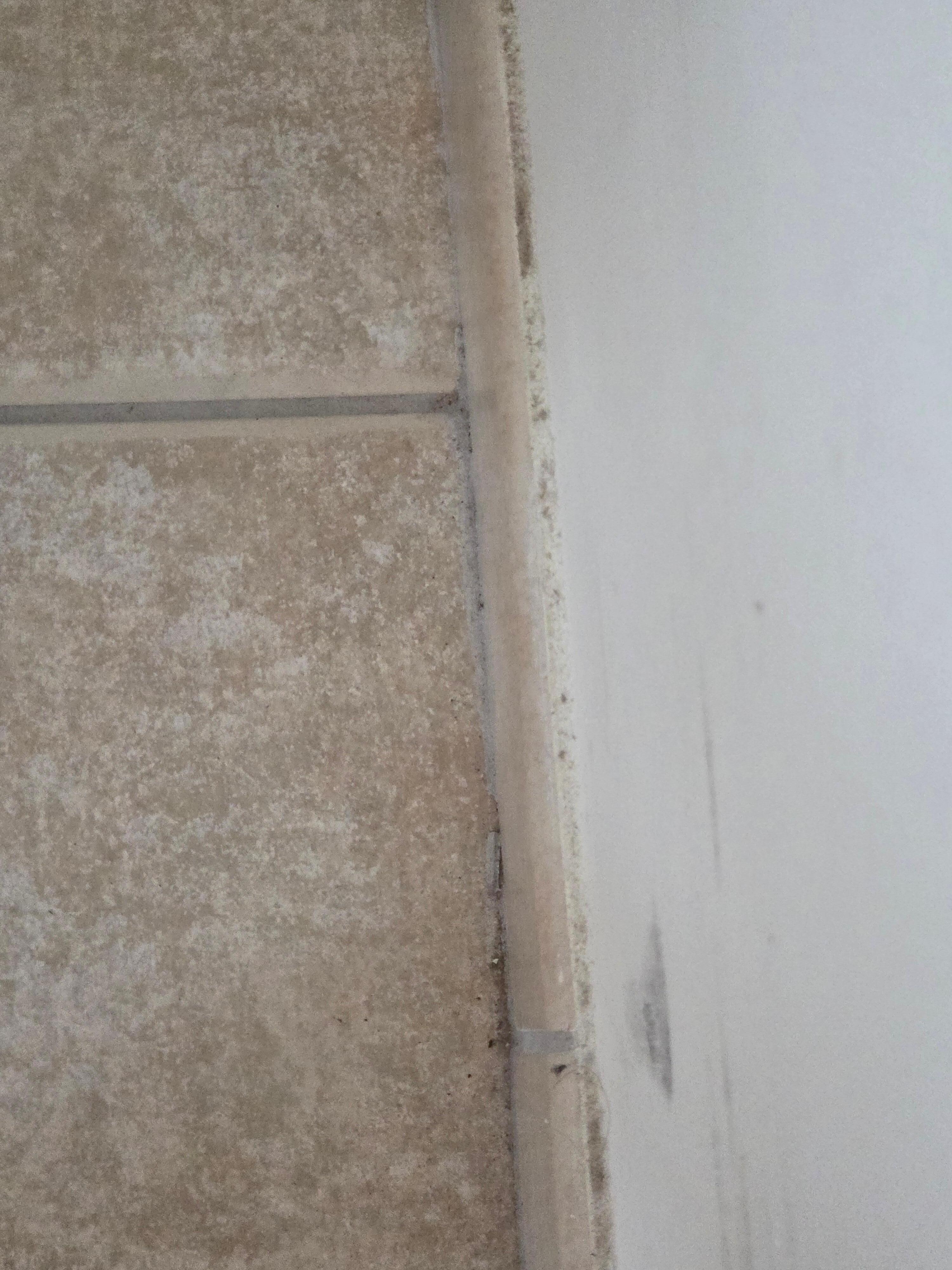 De la poussière partout sur les plinthes et sol crasseux près des murs et ds les coins. Tables de nuit et lampes très poussiéreuse. Araignées 