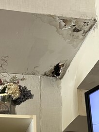 Lobby ceiling with holes and black mold