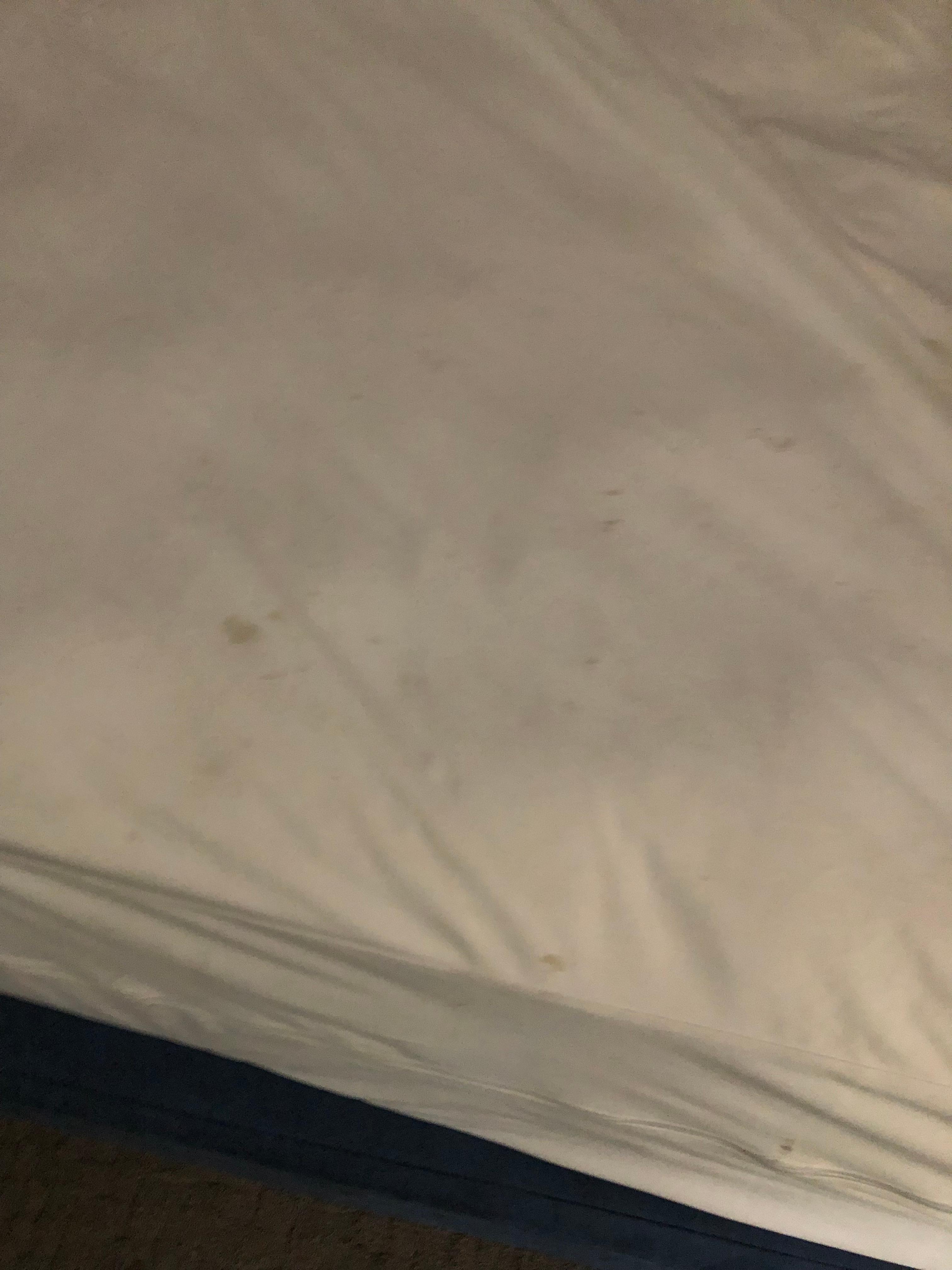 Stains and smelled really bad the bed wasn’t even made 