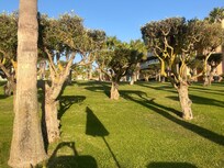 Jardim/ exterior