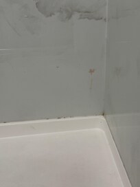 Blood in the shower