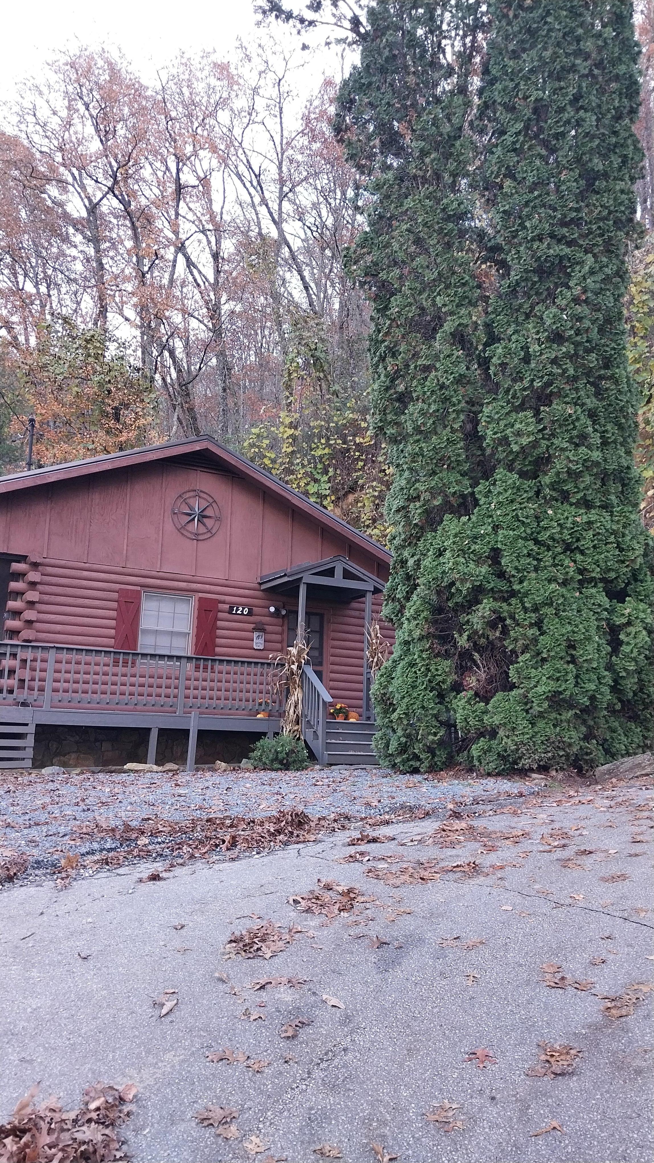 Sideview when you pull up to the cabin.