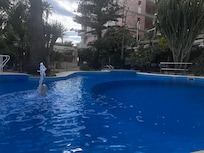 The Pool