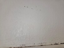 Mold on shower wall and ceiling